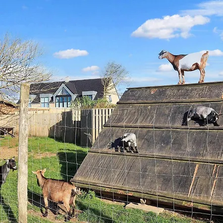 Feriehus In In Nature Løkken